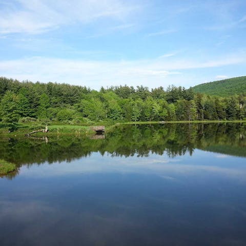 Explore the serene countryside of East Jewett