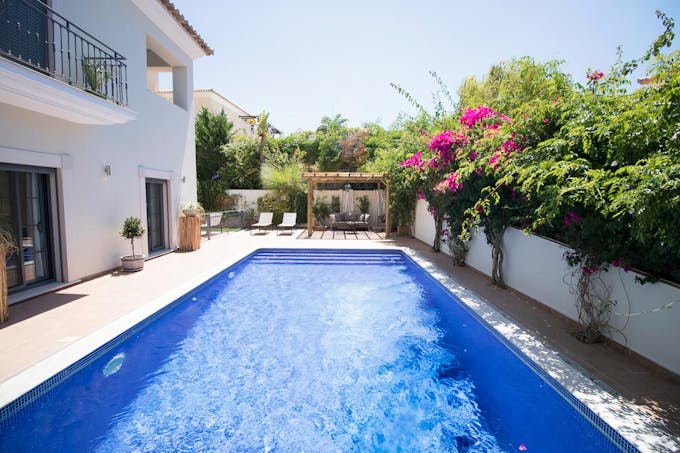 Cascading Bougainvillea