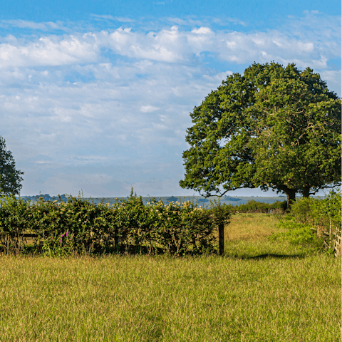 Walk your dog across the various walking trails near the house