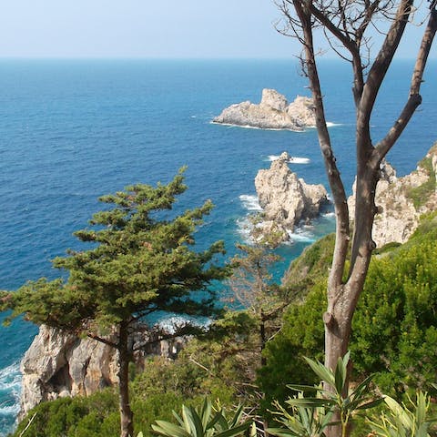 Explore the beautiful beaches and coves nestled along the coast