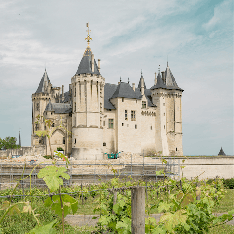 Visit beautiful Saumur, twelve kilometres away