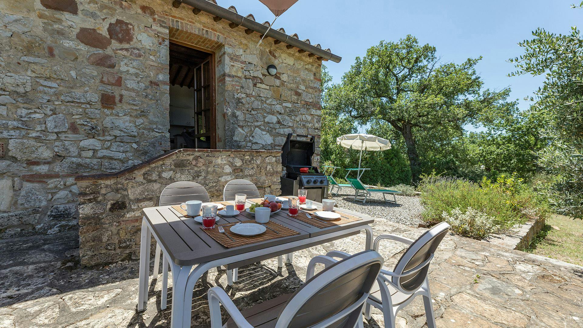 Vineyard Valley View