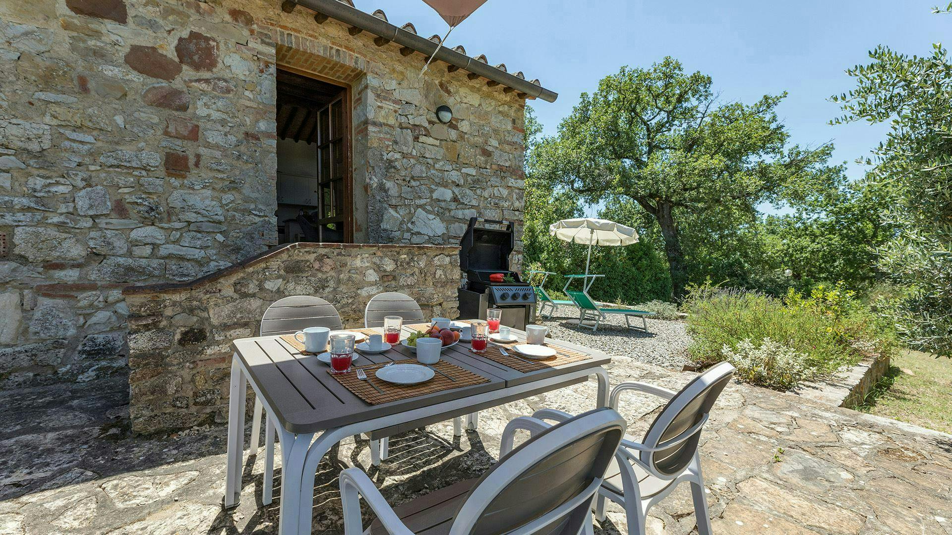 Vineyard Valley View