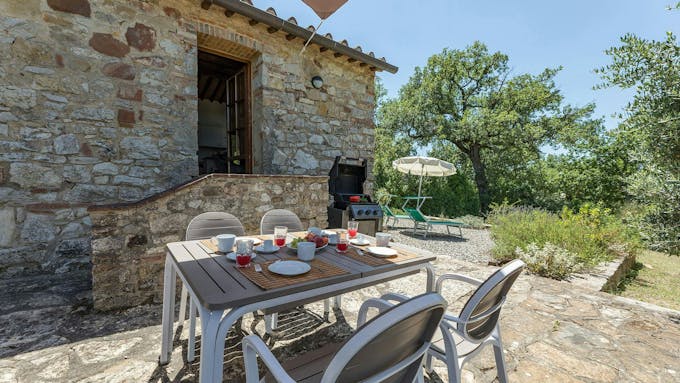 Vineyard Valley View