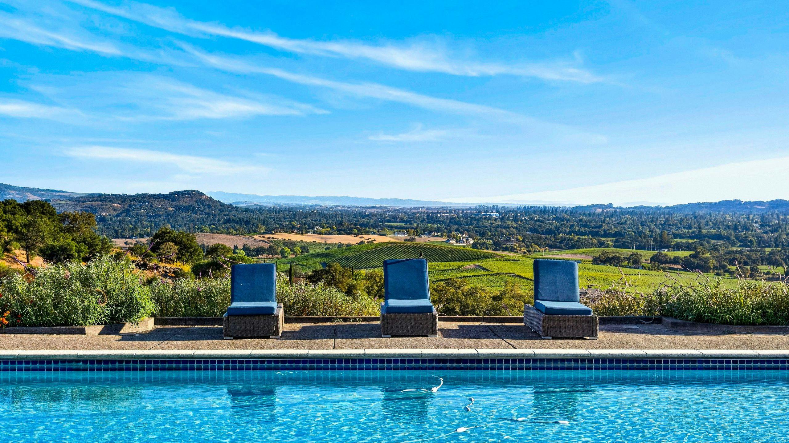 Cabernet Above the Valley