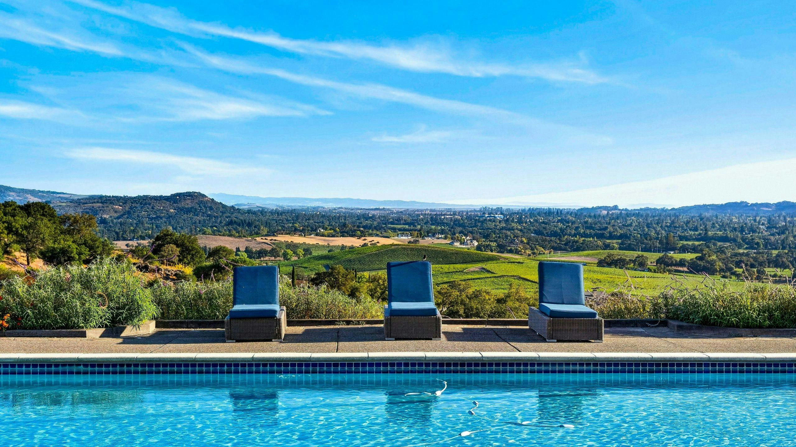 Cabernet Above the Valley