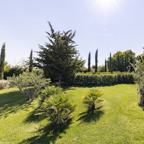 Find a shady spot out in the garden and get started on your holiday read