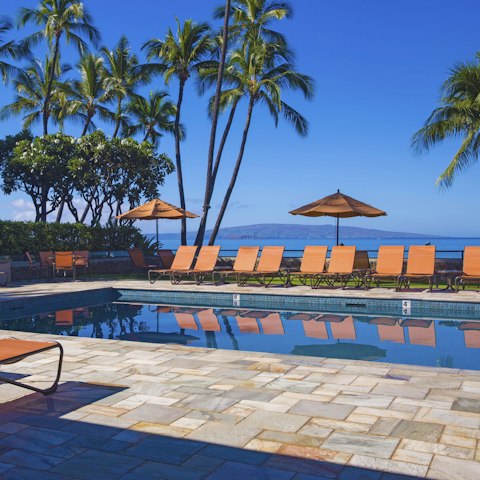 Head down to the pool for a dip