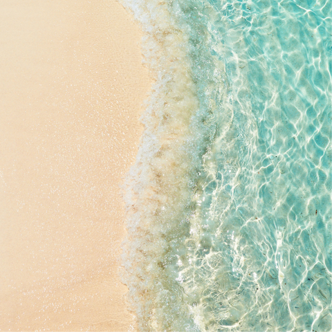 Dive into the ocean waters right on your doorstep