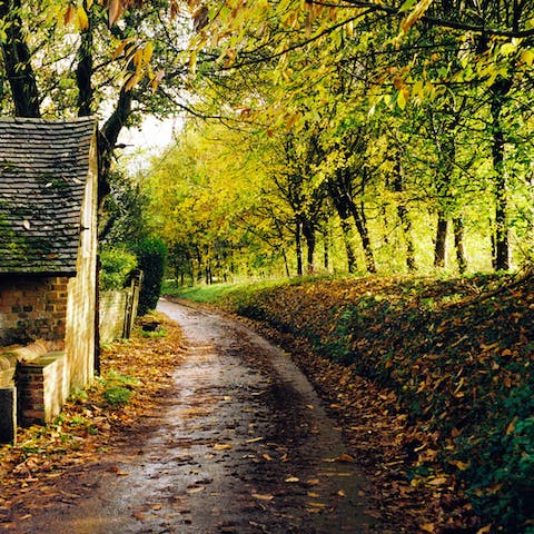 Wander through the sleepy walking trails for wholesome mornings