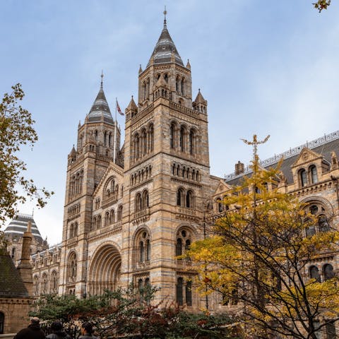 Spend an afternoon at South Kensington's museums – the Natural History Museum is a twenty-five-minute stroll away