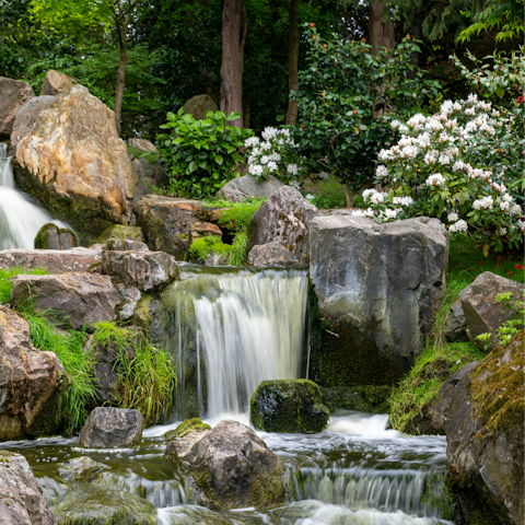 Experience a slower London pace in Holland Park