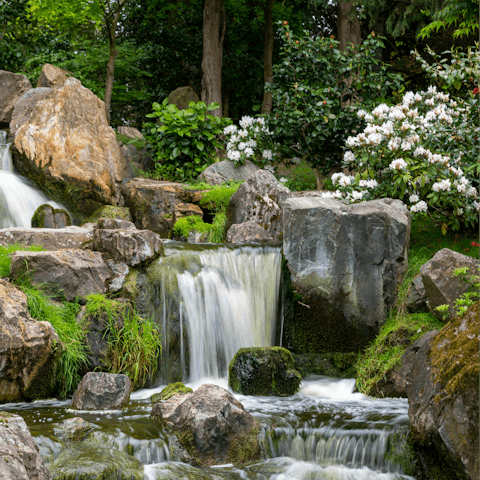 Experience a slower London pace in Holland Park