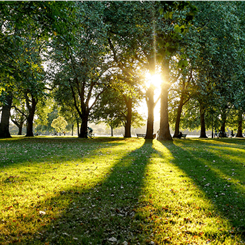 Enjoy a morning stroll or jog around nearby Hyde Park