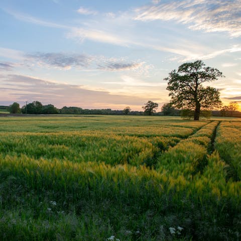 Set off on scenic walks from your front doorstep