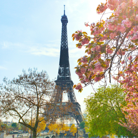 Enjoy a leisurely stroll to the Eiffel Tower