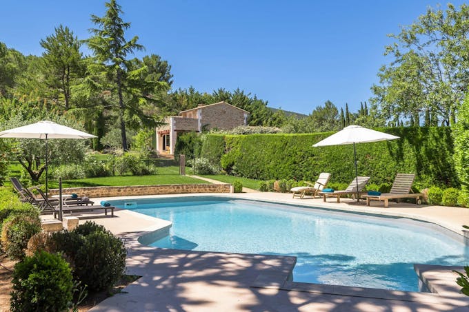 Luberon Lavender