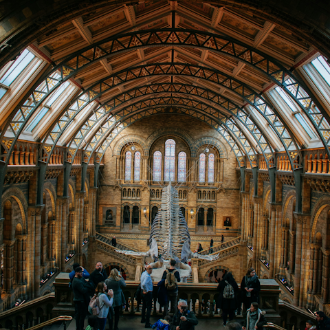 Visit the Natural History Museum, twelve minutes away