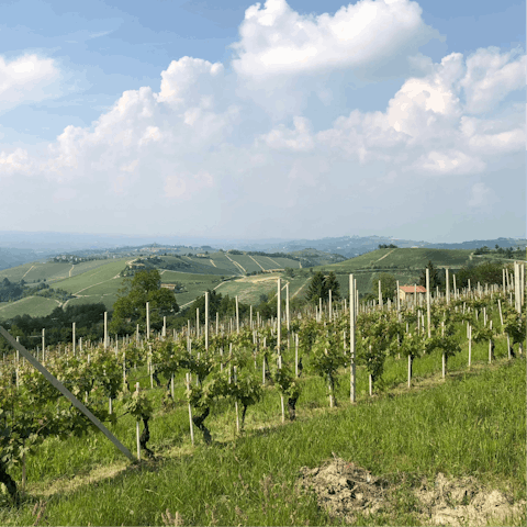 Discover the charm of Piedmont’s wine country right on your doorstep