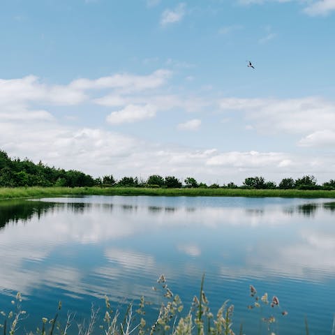 Enjoy the peace and tranquility of a leisurely lakeside stroll