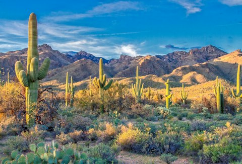 Take in the sights at Sabino Canyon, a fifteen-minute drive from home