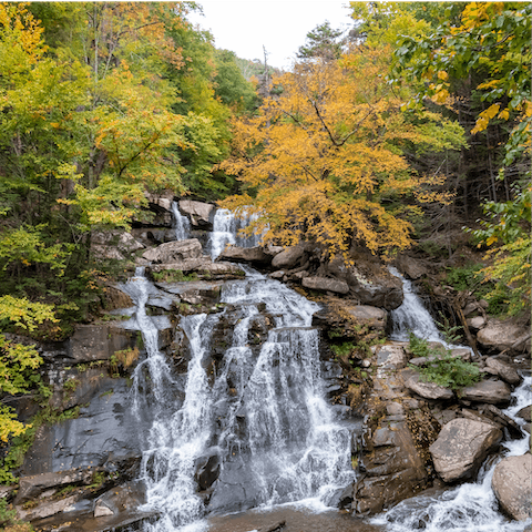 Make the most of your location in the Catskills – will you hike, bike or fish?