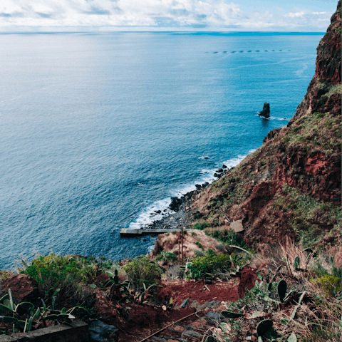 Discover the enigmatic coastlines of Madeira as well as its lively and culturally rich capital city