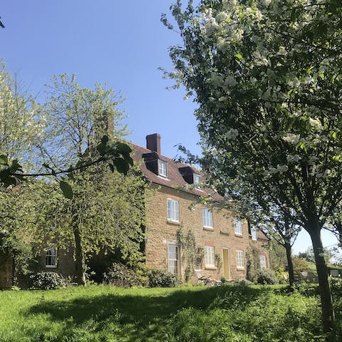 Explore this home's sixty acres of farmland