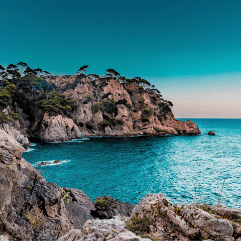 Drive down to the picturesque coast and explore Marbella's beaches