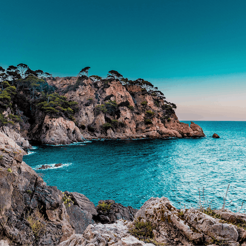 Drive down to the picturesque coast and explore Marbella's beaches