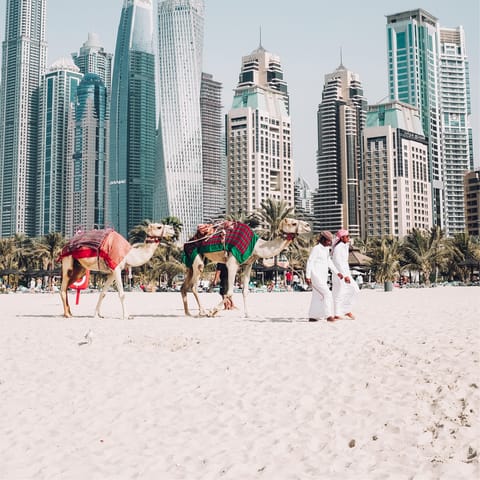 Visit Barasti Beach, just a twenty-eight minute walk away