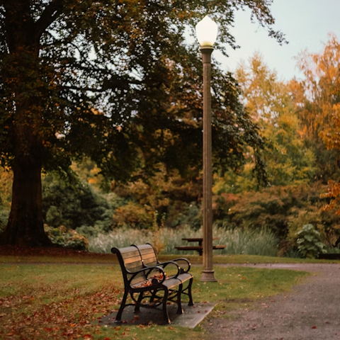 Wander to Holland Park in under 10 minutes