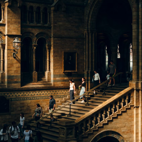 Discover Kensington’s museums, boutiques and museums