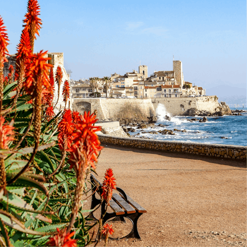 Watch the sunset from the Cap d’Antibes
