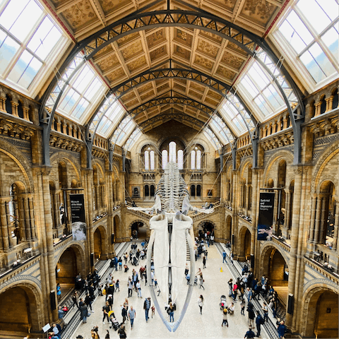 Wander through the fascinating exhibitions of the Natural History Museum – it's just a couple of minutes' walk away