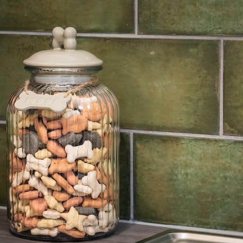 Give your dog a holiday treat, courtesy of your generous host