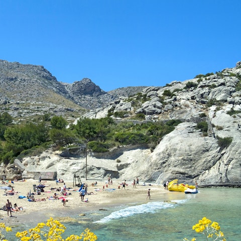 Drive to the north Mallorcan coast and choose from four coves at Cala Sant Vicenç