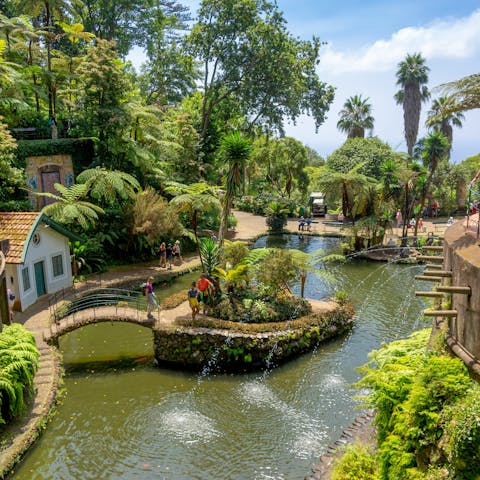 Explore the captivating Monte Palace Tropical Gardens