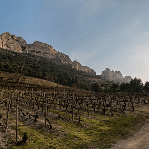 Explore Venasque, perched on a rocky outcrop overlooking vineyards and cherry trees