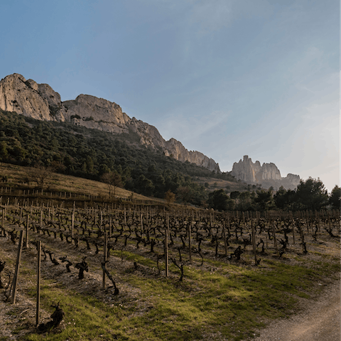 Explore Venasque, perched on a rocky outcrop overlooking vineyards and cherry trees