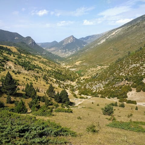 Stay in the pure tranquility of the Catalonian countryside