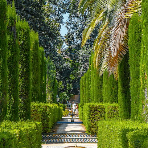 Stroll through the majestic gardens of the Real Alcázar Palace
