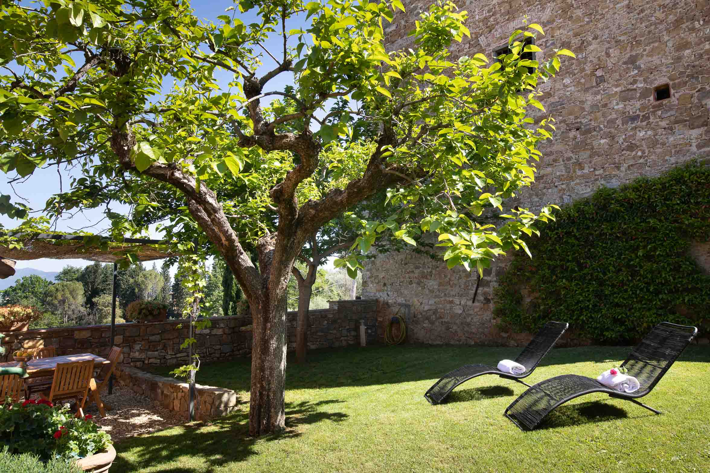 Rosy Tuscan View
