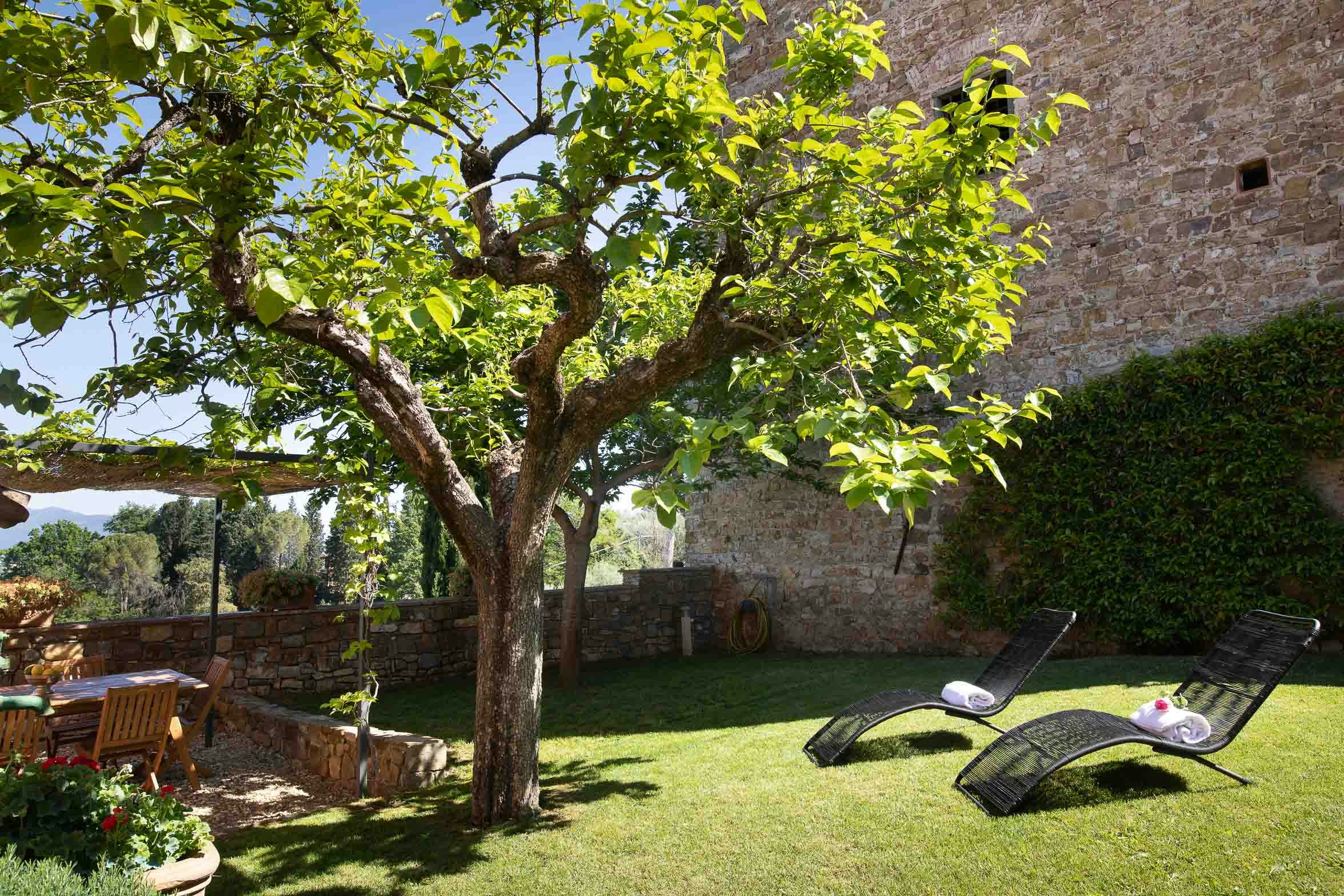 Rosy Tuscan View