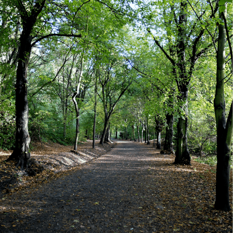Explore the woodlands and wild meadows of Hampstead Heather – a one-minute walk from your front door