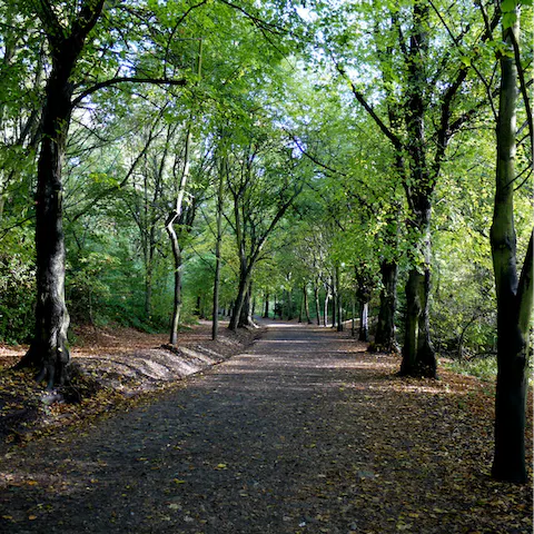 Explore the woodlands and wild meadows of Hampstead Heather – a one-minute walk from your front door