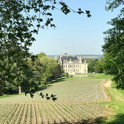 Explore the rich history of the beautiful Loire Valley