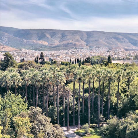 Explore the Botanical Museum of the National Gardens, a short walk away
