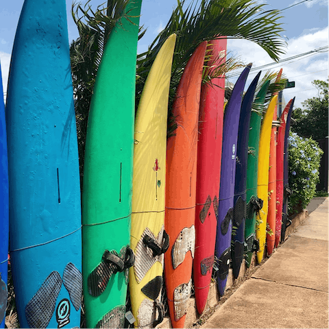 Arrange some water sports on the beach
