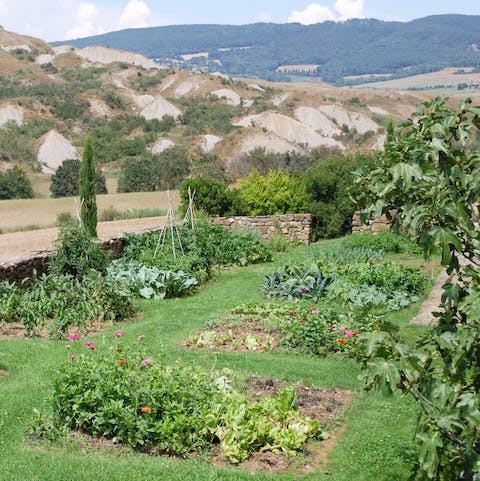 Wander around three hectares of land